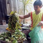 Rau rịa- thứ rau không bao giờ bán của người dân tộc Tây Nguyên