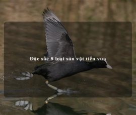 Đặc sắc 8 loại sản vật tiến vua