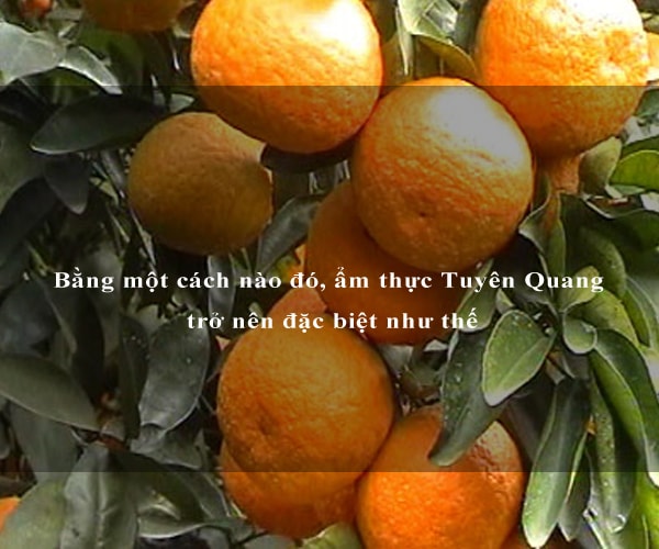 Bằng một cách nào đó, ẩm thực Tuyên Quang trở nên đặc biệt như thế 9 Bằng một cách nào đó, ẩm thực Tuyên Quang trở nên đặc biệt như thế 9