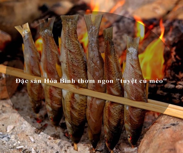 Đặc sản Hòa Bình thơm ngon "tuyệt cú mèo" 6 Đặc sản Hòa Bình thơm ngon "tuyệt cú mèo" 6