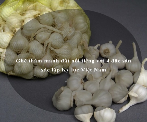 Ghé thăm mảnh đất nổi tiếng với 4 đặc sản xác lập Kỷ lục Việt Nam 7 Ghé thăm mảnh đất nổi tiếng với 4 đặc sản xác lập Kỷ lục Việt Nam 7