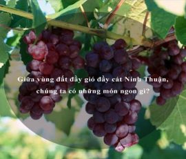 Giữa vùng đất đầy gió đầy cát Ninh Thuận, chúng ta có những món ngon gì?