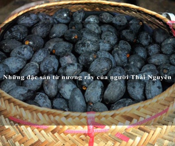 Những đặc sản từ nương rẫy của người Thái Nguyên 8 Những đặc sản từ nương rẫy của người Thái Nguyên 8